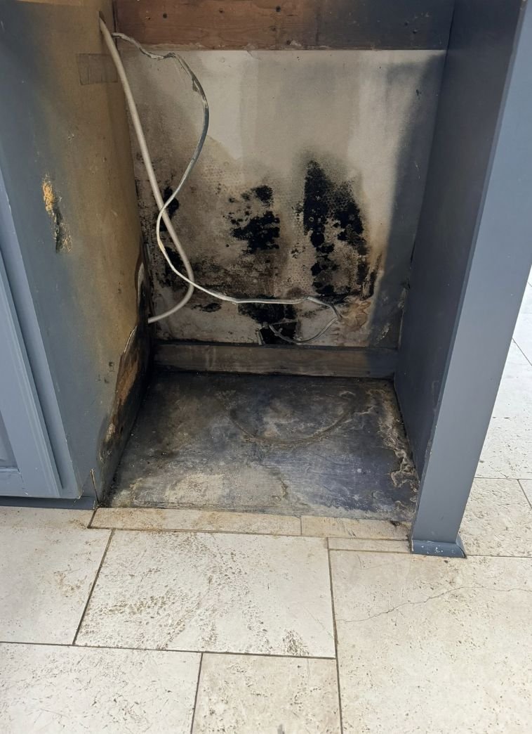 Black mold growth found behind a kitchen cabinet after unaddressed water damage in a Charlotte NC home